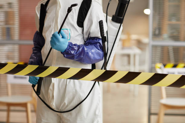 Professional Blood Cleanup technician working in Damon, TX